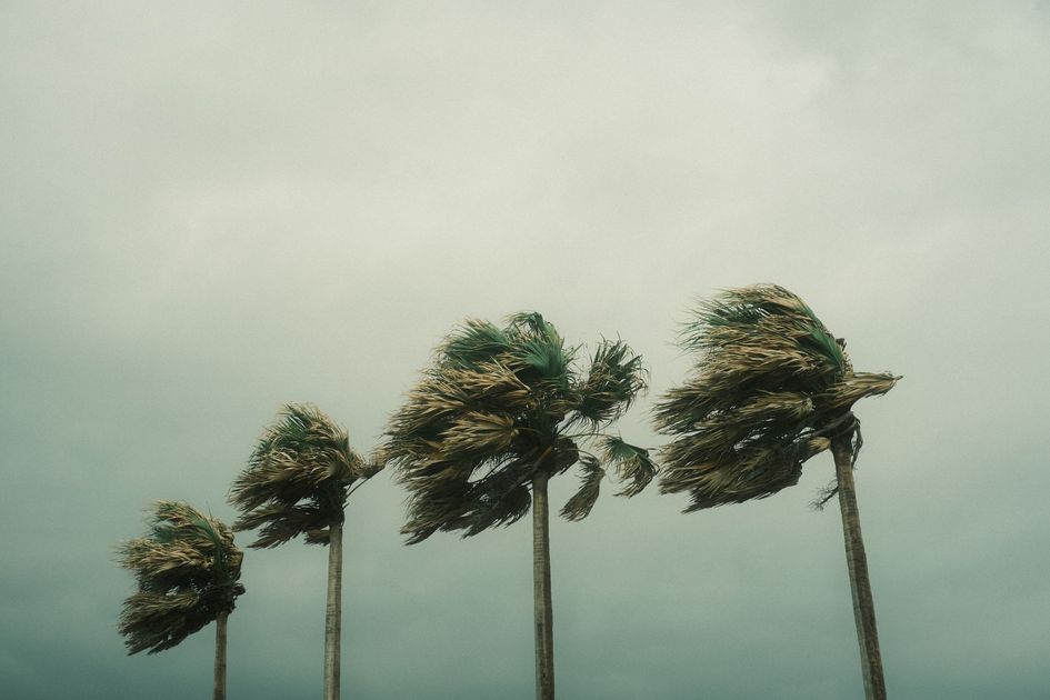 Indeci advierte ráfagas de viento superiores a 40 km/h para Lima y Callao este sábado
