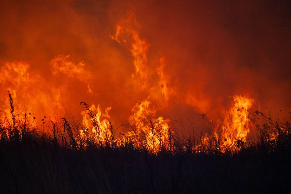 Señor de los Milagros: calor extremo y recomendaciones para evitar emergencias