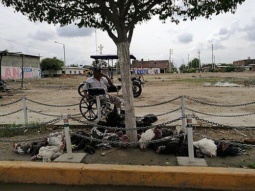 Balacera en el Callao: dos heridos tras ataque a vivienda en Ramón Castilla
