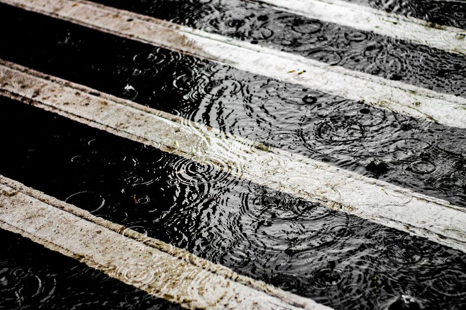 Lima en alerta máxima: Leptospirosis deja 50 muertos y casi 14.000 casos en el país